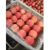 13963333772山東蘋果紅富士紅將軍紅星大量批發