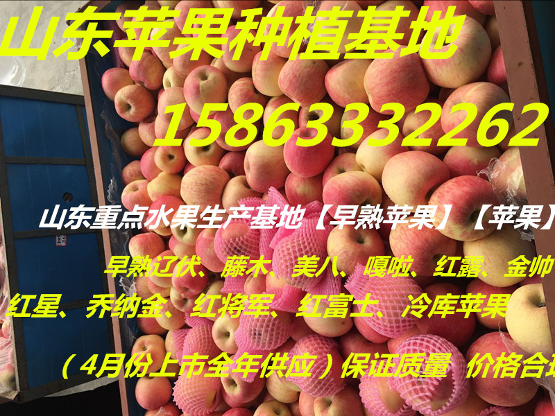 QQ圖片20160225154233_副本