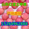 山東紅富士蘋(píng)果產(chǎn)地批發(fā)15264962888