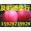 2023年陜西紙夾膜紅富士蘋果批發價格