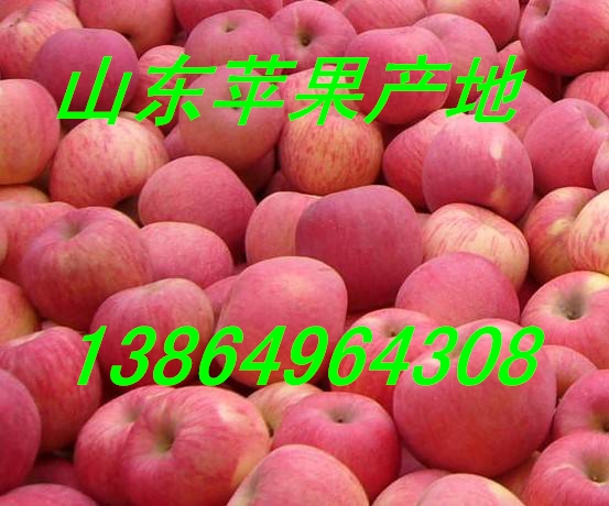 c98d8df27e0844a2a3b84186016c34cb_看圖王