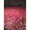 本人大量供應紅富士，花牛蘋果