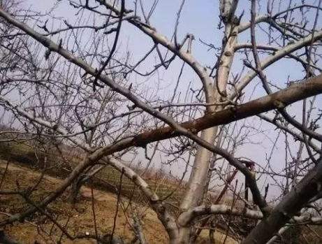 圖片4