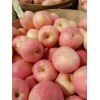 15266665888沂蒙山紅富士蘋果好吃價格便宜
