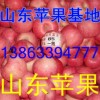 13863394777本周冷庫紅富士蘋果價格走勢
