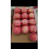 15554941222冷庫紅富士蘋果降價
