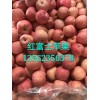 蘋果產地價格13562356378