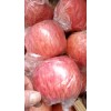 大量供應山西運城黃土高坡紙加膜紅富士蘋果