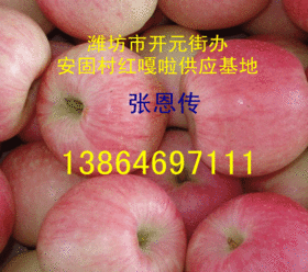 山東濰坊紅嘎啦蘋果產地代辦行情好價格便宜了