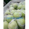 大量供應(yīng) 膜袋黃金帥蘋果 量大價(jià)低