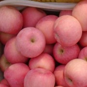 生輝果業 楊生輝 ()