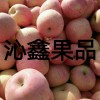 大量供應蘋果，梨，大櫻桃