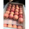山東紅富士蘋果 沂源蘋果 甜脆蘋果 批發蘋果價格