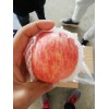 陜西庫(kù)存紅富士蘋(píng)果批發(fā)