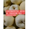 大量供應蘋果