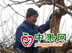 圖片 3