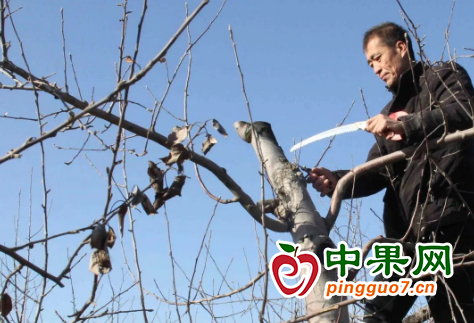 圖片 2