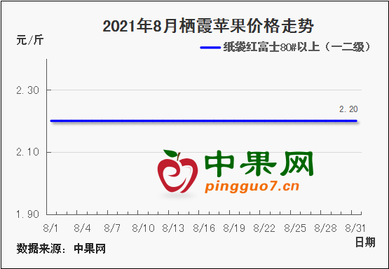 圖片4