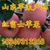 18369313268山東日照紅富士蘋果批發基地