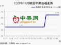 冷庫交易遇冷  下月能否有突破？ ()