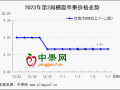 春節(jié)備貨進(jìn)行時(shí)  蘋(píng)果價(jià)格略顯混亂 ()