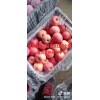 陜西紅富士蘋(píng)果批發(fā)，紅富士蘋(píng)果基地價(jià)格
