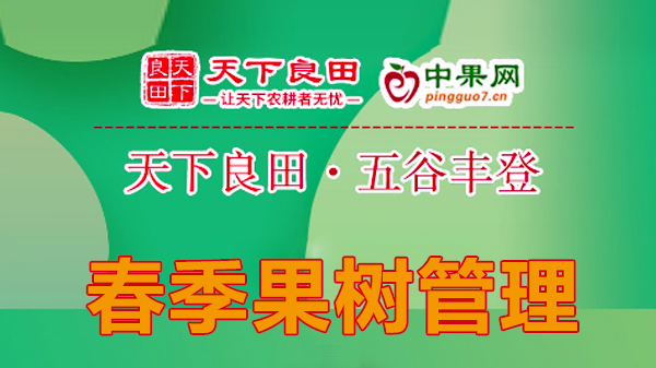 春季果樹管理 ()