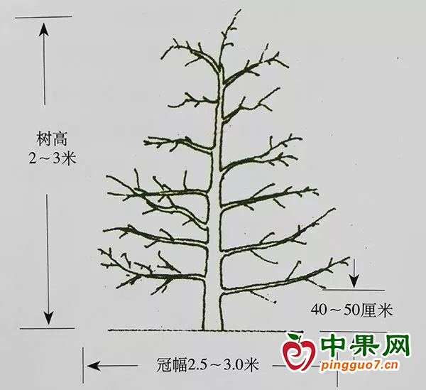 圖片2