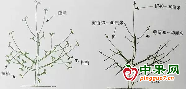 圖片4