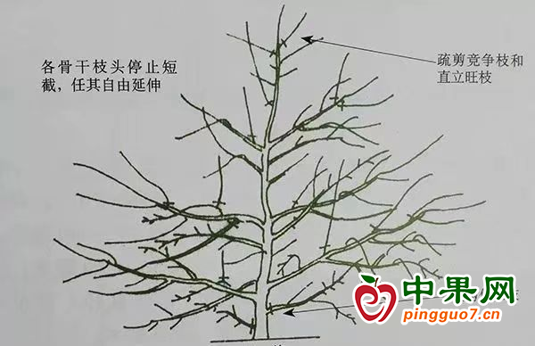 圖片5