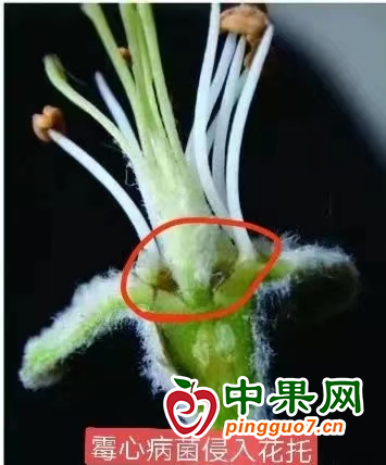 圖片1