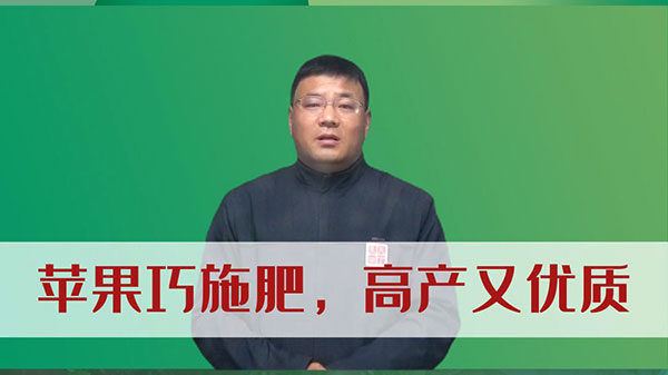 蘋果巧施肥，高產又優質 ()