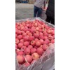 優(yōu)質(zhì)紅富士蘋果產(chǎn)地大量供應(yīng)