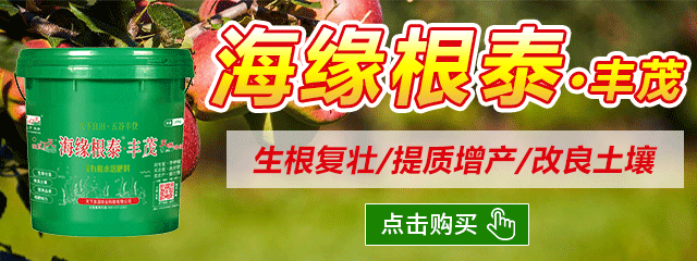 海緣根泰-240