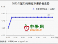 庫內(nèi)交易平穩(wěn) 新季蘋果套袋中 ()