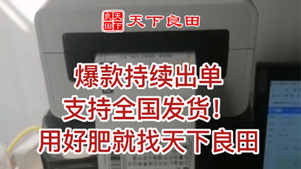 爆款持續出單 ()