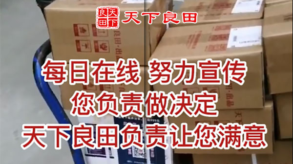 每日在線，努力宣傳，您負責決定，天下良田負責讓您滿意 ()