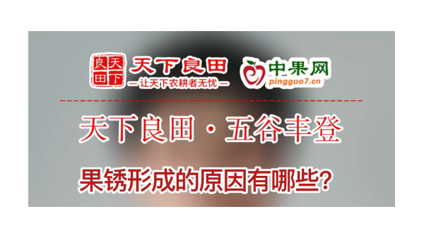 果銹形成的原因有哪些？ ()
