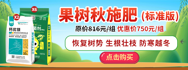 QQ圖片