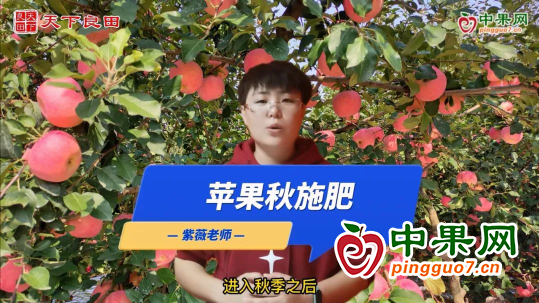 果樹秋施肥 ()