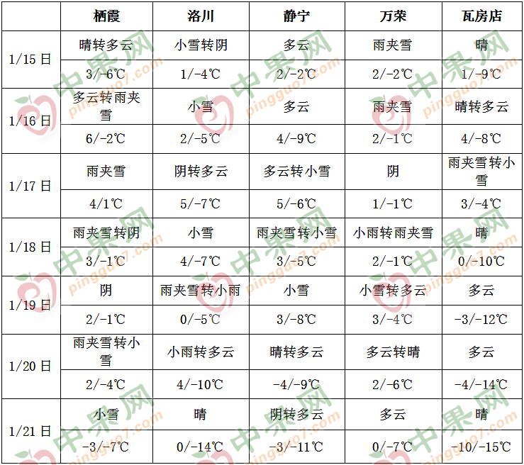 多地迎來降雪 影響蘋果交易 ()