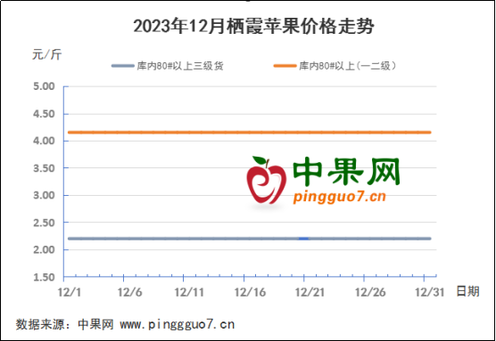 庫內(nèi)交易不溫不火 果農(nóng)出貨意愿增強(qiáng) ()