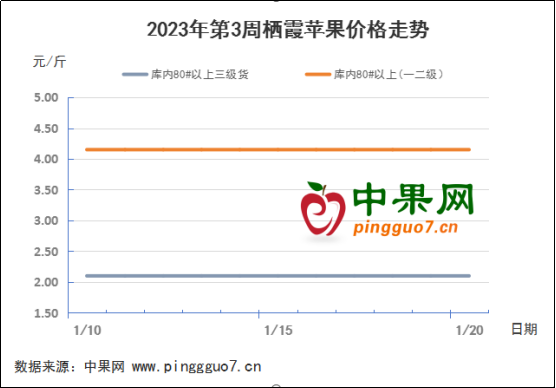 春節(jié)備貨清淡  蘋果交易壓力仍在 ()