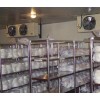 東山街道東麒路周邊低溫冷藏庫冷凍庫租賃